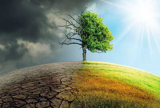 تغير المناخ.. أكبر المخاطر التي تهدد الطبيعة! صورة رقم 6