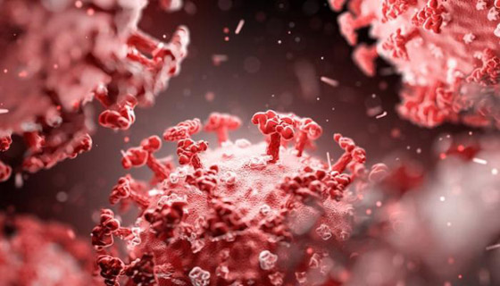 تغير المناخ.. أكبر المخاطر التي تهدد الطبيعة! صورة رقم 3