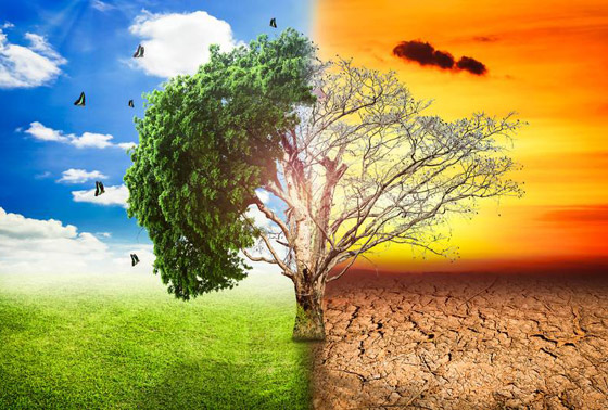 تغير المناخ.. أكبر المخاطر التي تهدد الطبيعة! صورة رقم 11