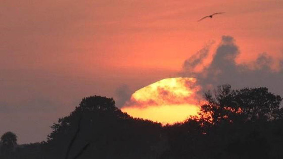 كوريا الجنوبية تطور شمساً اصطناعية صورة رقم 3