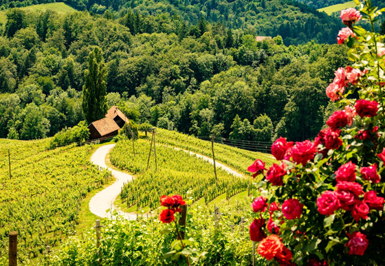 الحب في كل مكان.. إليكم مواقع وأماكن خلابة على شكل قلب حول العالم صورة رقم 4