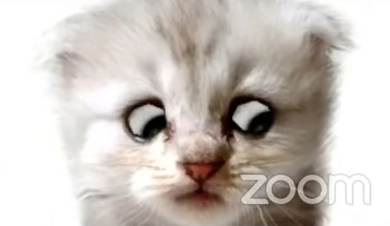 فلتر يحول محاميا لقطة أمام القاضي! 20 مليون مشاهدة للورطة التي وقع فيها صورة رقم 4