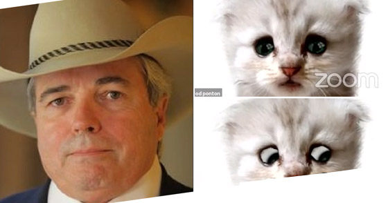 فلتر يحول محاميا لقطة أمام القاضي! 20 مليون مشاهدة للورطة التي وقع فيها صورة رقم 5