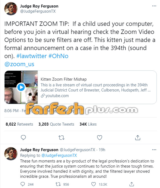 فلتر يحول محاميا لقطة أمام القاضي! 20 مليون مشاهدة للورطة التي وقع فيها صورة رقم 1