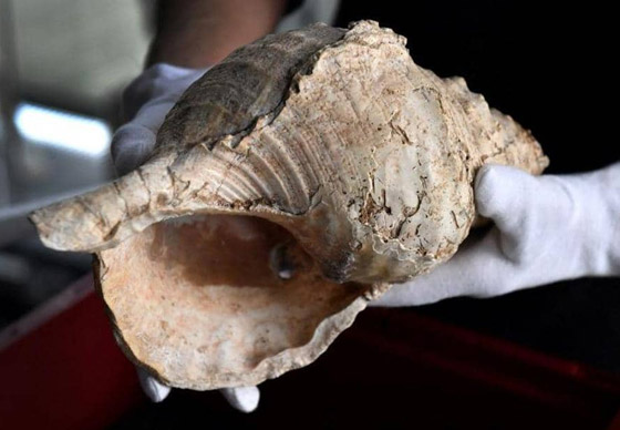 اكتشاف فريد.. العثور على آلة موسيقية قديمة عمرها 18 ألف عام صورة رقم 1