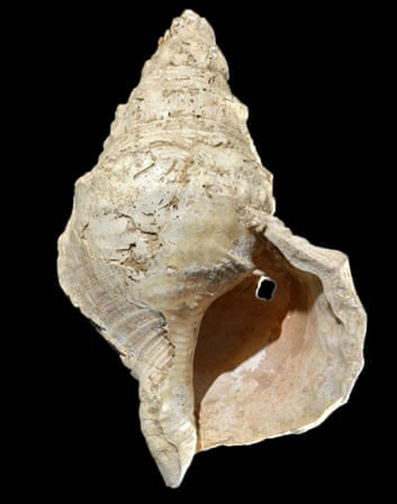 اكتشاف فريد.. العثور على آلة موسيقية قديمة عمرها 18 ألف عام صورة رقم 11