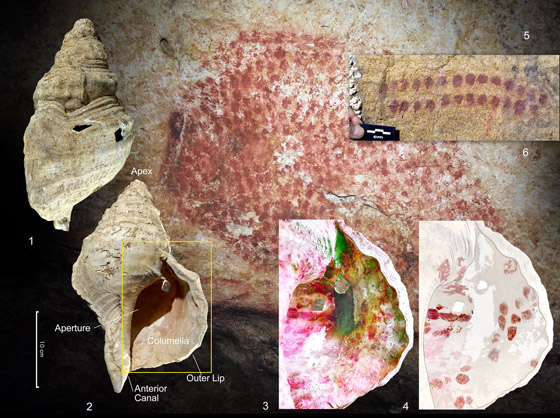اكتشاف فريد.. العثور على آلة موسيقية قديمة عمرها 18 ألف عام صورة رقم 7