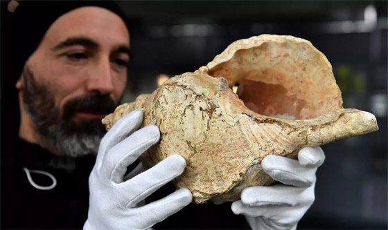 اكتشاف فريد.. العثور على آلة موسيقية قديمة عمرها 18 ألف عام صورة رقم 10