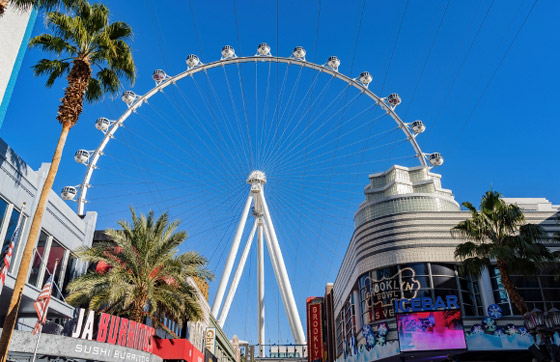 بالصور: تعرفوا إلى أشهر 4 دوامات (عجلات عملاقة) حول العالم صورة رقم 1