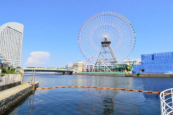 بالصور: تعرفوا إلى أشهر 4 دوامات (عجلات عملاقة) حول العالم صورة رقم 4