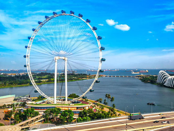 بالصور: تعرفوا إلى أشهر 4 دوامات (عجلات عملاقة) حول العالم صورة رقم 5