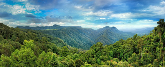 ماذا تعرف عن القارة المفقودة التي استغرق العثور عليها 375 عاما؟ صورة رقم 6