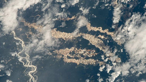 صور نادرة تكشف أنهار الذهب في غابات الأمازون تخفي جانبا مظلما صورة رقم 2