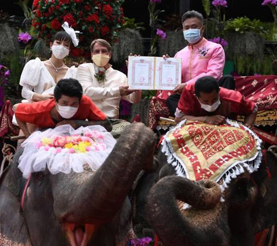 في عيد الحب.. زفاف جماعي على ظهور الأفيال صورة رقم 1