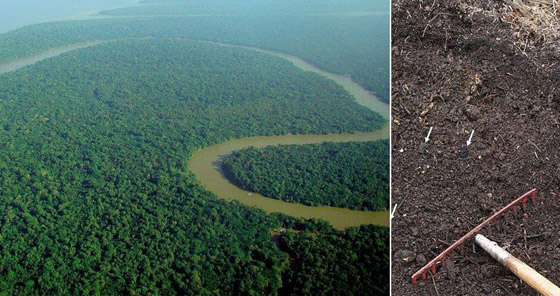 تعرفوا إلى 10 أشياء تعتقد أنها طبيعية ولكنها في الحقيقة من صنع الإنسان صورة رقم 1