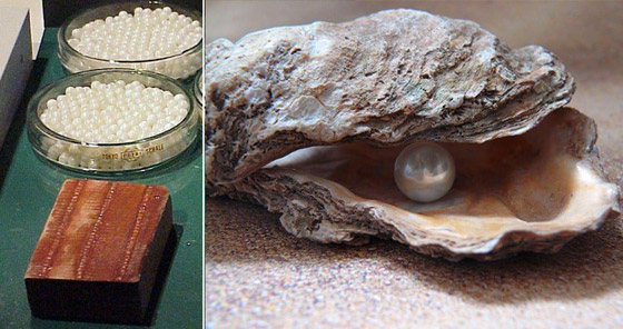 تعرفوا إلى 10 أشياء تعتقد أنها طبيعية ولكنها في الحقيقة من صنع الإنسان صورة رقم 5