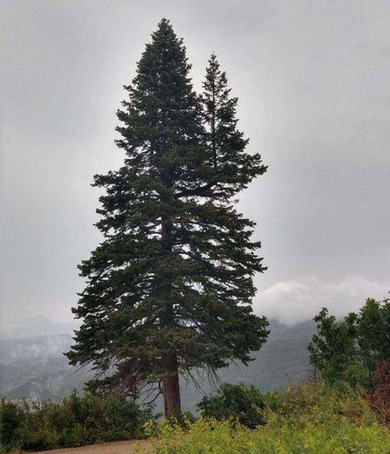 أشياء نادرة لا نراها إلا مرة واحدة في العمر صورة رقم 7