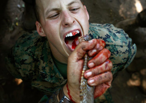 منها شرب دماء الأفاعي.. تدريبات عسكرية غريبة ومجنونة لجيوش العالم صورة رقم 1