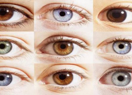 هل يمكن تغيير لون العينين؟ صورة رقم 3