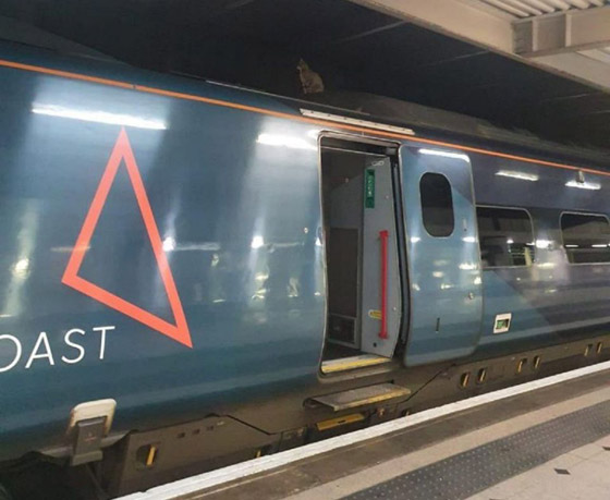 قطة عنيدة تعطل رحلة قطار سريع في لندن وعمال المحطة فشلوا بإبعادها صورة رقم 2