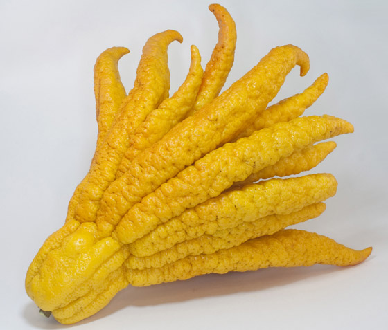 صور: تعرفوا إلى أغرب أنواع الفواكه في العالم التي لم نسمع عنها من قبل صورة رقم 1