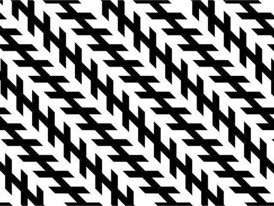 الوهم البصري بين الخداع والعلم.. إليكم أشهرها صورة رقم 3