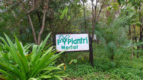 تعرفوا على القرية الهندية التي يزرع سكانها 111 شجرة مع مولد كل فتاة صورة رقم 2