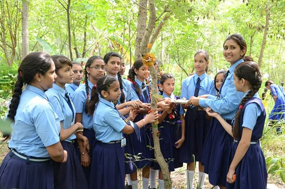 تعرفوا على القرية الهندية التي يزرع سكانها 111 شجرة مع مولد كل فتاة صورة رقم 12