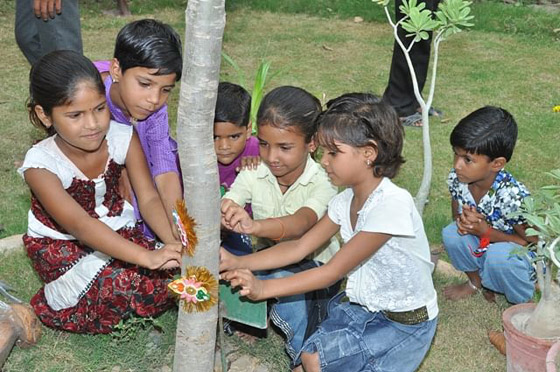 تعرفوا على القرية الهندية التي يزرع سكانها 111 شجرة مع مولد كل فتاة صورة رقم 14