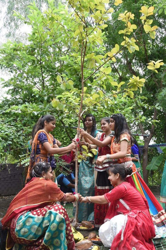 تعرفوا على القرية الهندية التي يزرع سكانها 111 شجرة مع مولد كل فتاة صورة رقم 17