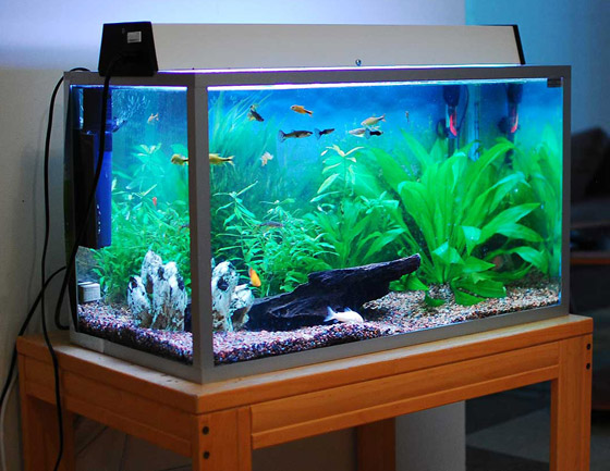 بينها كاتم صوت الطائرة.. تعرفوا إلى 12 اختراعا مذهلا ابتكرتها نساء صورة رقم 10