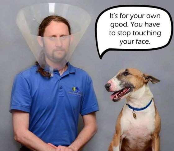 شر البلية ما يضحك.. أغرب الصور بزمن كورونا صورة رقم 5