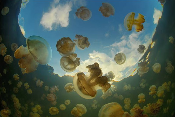 بالصور: إليكم جولة حول أجمل وأغرب البحيرات في العالم صورة رقم 1