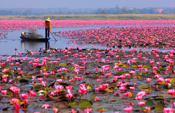 بالصور: إليكم جولة حول أجمل وأغرب البحيرات في العالم صورة رقم 8