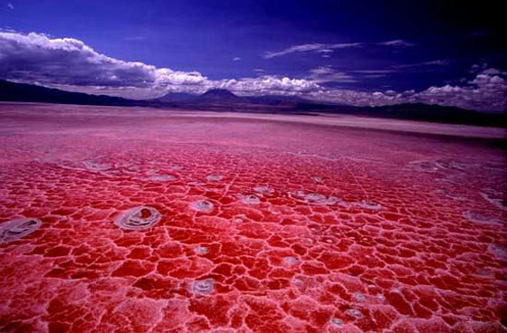 بالصور: إليكم جولة حول أجمل وأغرب البحيرات في العالم صورة رقم 10