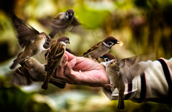 تعرفوا إلى أغرب 3 قوانين حول العالم صورة رقم 1