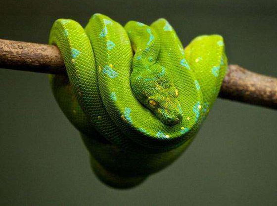 إليكم 7 أمور يحذر من البحث عنها على جوجل! صورة رقم 4