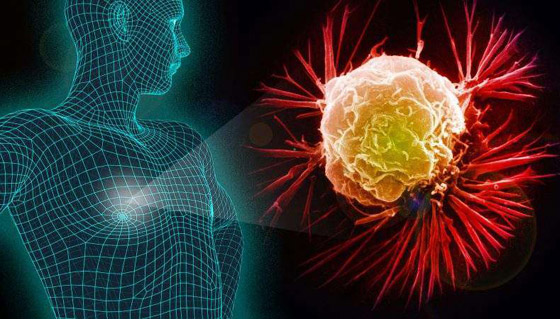 إليكم 7 أمور يحذر من البحث عنها على جوجل! صورة رقم 7