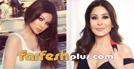 أحبك يا فتاة.. وصلة مدح وغزل بين الفنانتين إليسا وهيفاء وهبي صورة رقم 5