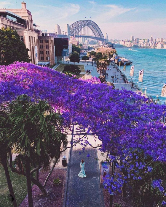 بالصور: تعرفوا إلى أكثر 10 أماكن شهرة على إنستغرام للعام 2021​ صورة رقم 8