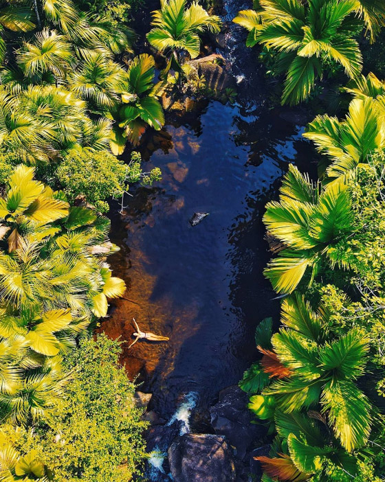 أول دولة بالعالم تُحقق (مناعة القطيع).. ستسمح بزيارتها دون لقاح كورونا صورة رقم 5