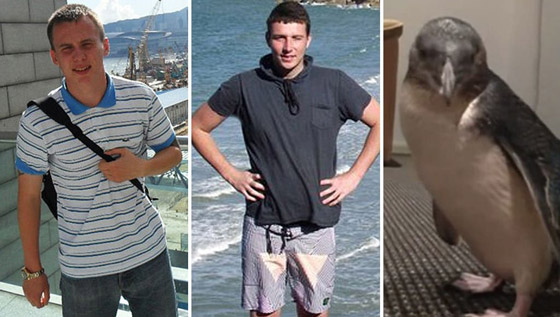 تعرفوا على سرقات مضحكة ومجنونة لدرجة أن بعضها غير قابل للتصديق! صورة رقم 2