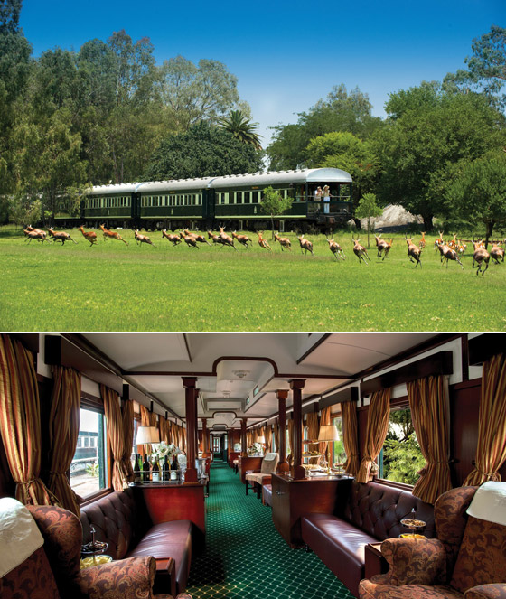 أجمل رحلات القطار الخلابة.. متعة حقيقية ساحرة لا تفوت! صور صورة رقم 8