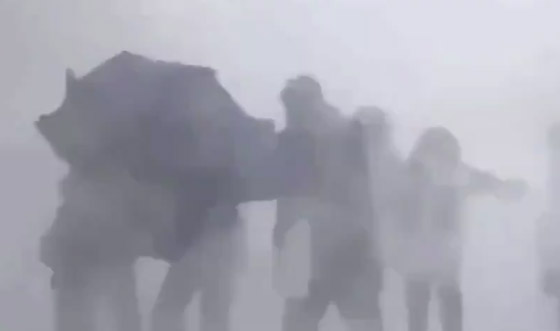 لا يستطيعون حتى الوقوف! رياح عاتية تهاجم الصينيين في الشوارع! فيديو صورة رقم 6 لا يستطيعون حتى الوقوف! رياح عاتية تهاجم الصينيين في الشوارع! فيديو صورة رقم 6