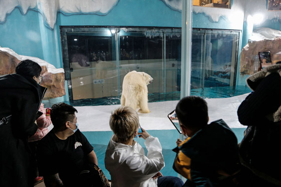 أول دولة بالعالم تُحقق (مناعة القطيع).. ستسمح بزيارتها دون لقاح كورونا صورة رقم 5