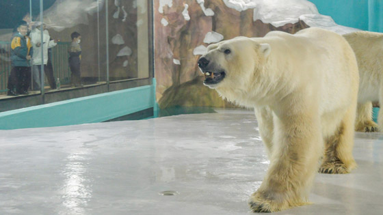 أول دولة بالعالم تُحقق (مناعة القطيع).. ستسمح بزيارتها دون لقاح كورونا صورة رقم 6
