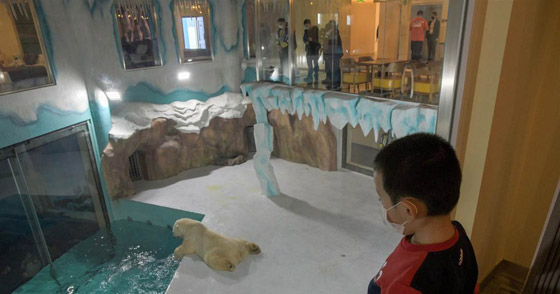 أول دولة بالعالم تُحقق (مناعة القطيع).. ستسمح بزيارتها دون لقاح كورونا صورة رقم 3