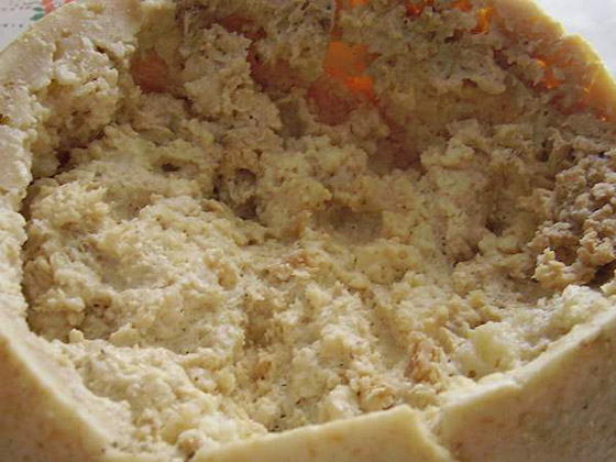 تملؤه الديدان.. هل تجرؤ على تناول أخطر جبن في العالم؟! صورة رقم 6