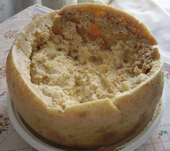 تملؤه الديدان.. هل تجرؤ على تناول أخطر جبن في العالم؟! صورة رقم 7