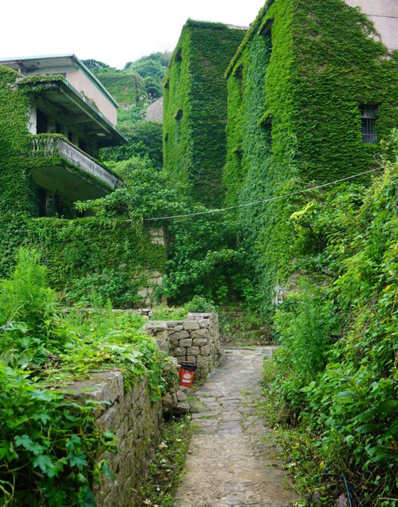 هوتوان.. قرية مهجورة ساحرة غمرتها الأعشاب! صور صورة رقم 3